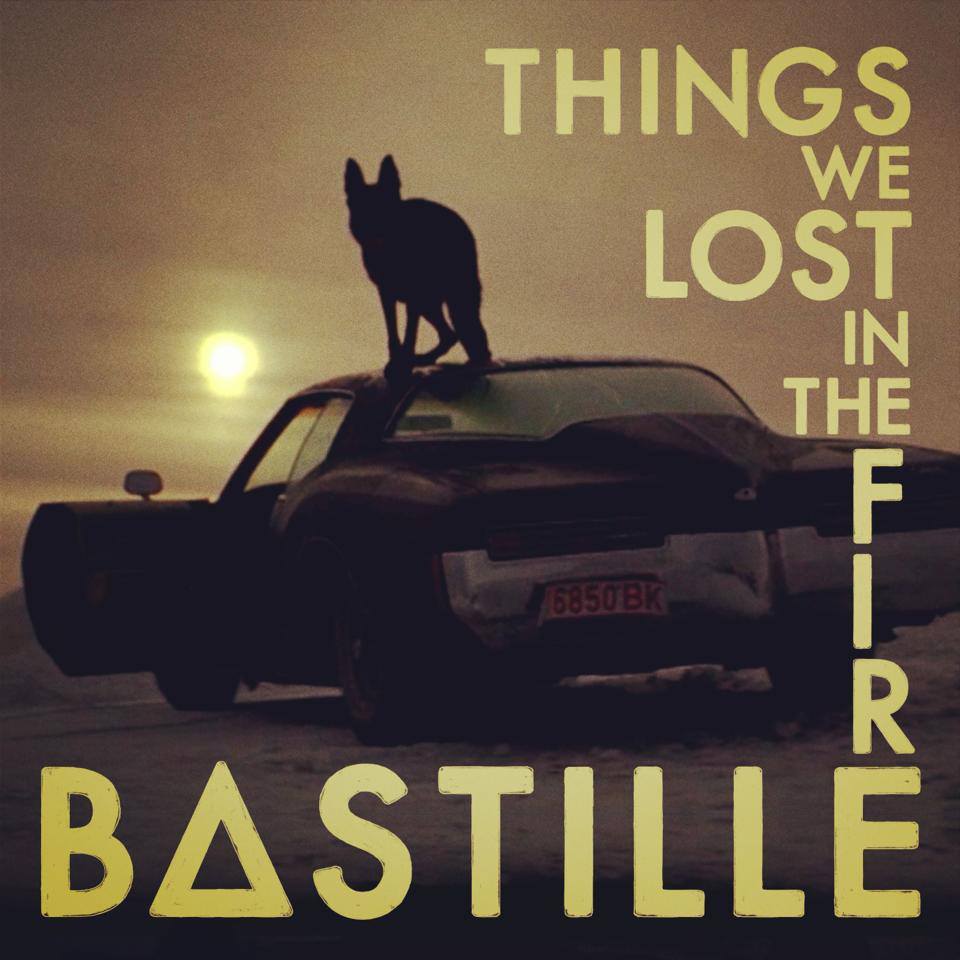 Cover image for Things We Lost in the Fire