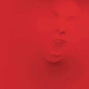 Album cover art for "Not Alone" by Red