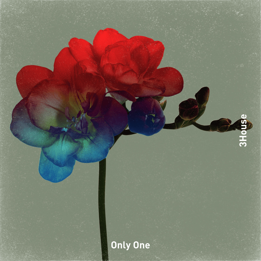 Only One by 3House