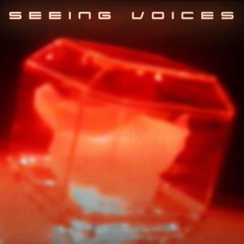 Album cover art for "Seeing Voices" by Donor Lens & Kiera Pixie