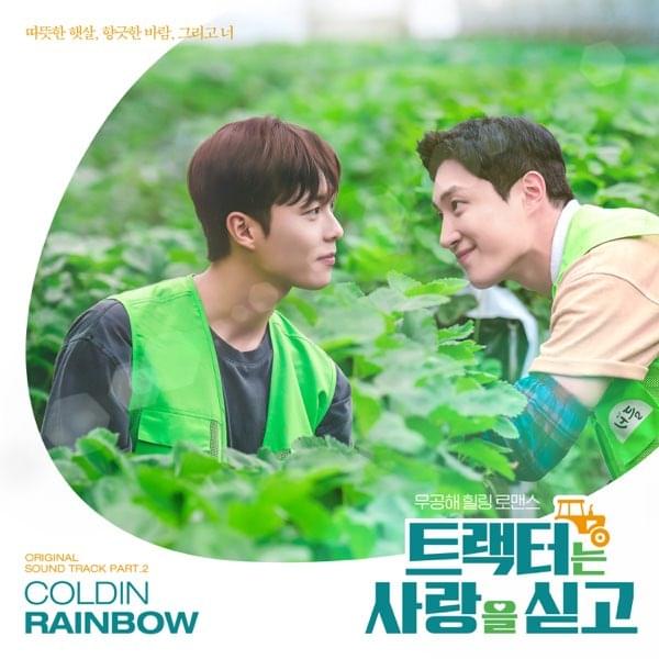 Rainbow by Coldin (콜딘)