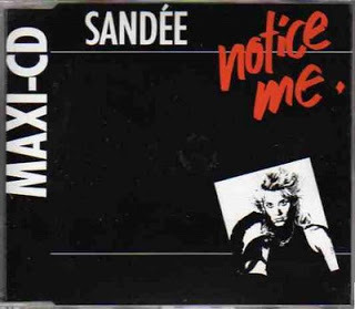 Album cover art for "Notice Me" by Sandee