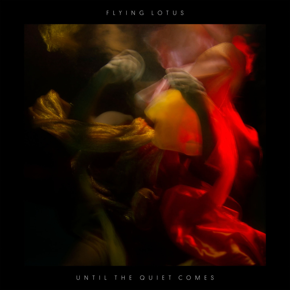 Cover image for Until the Quiet Comes