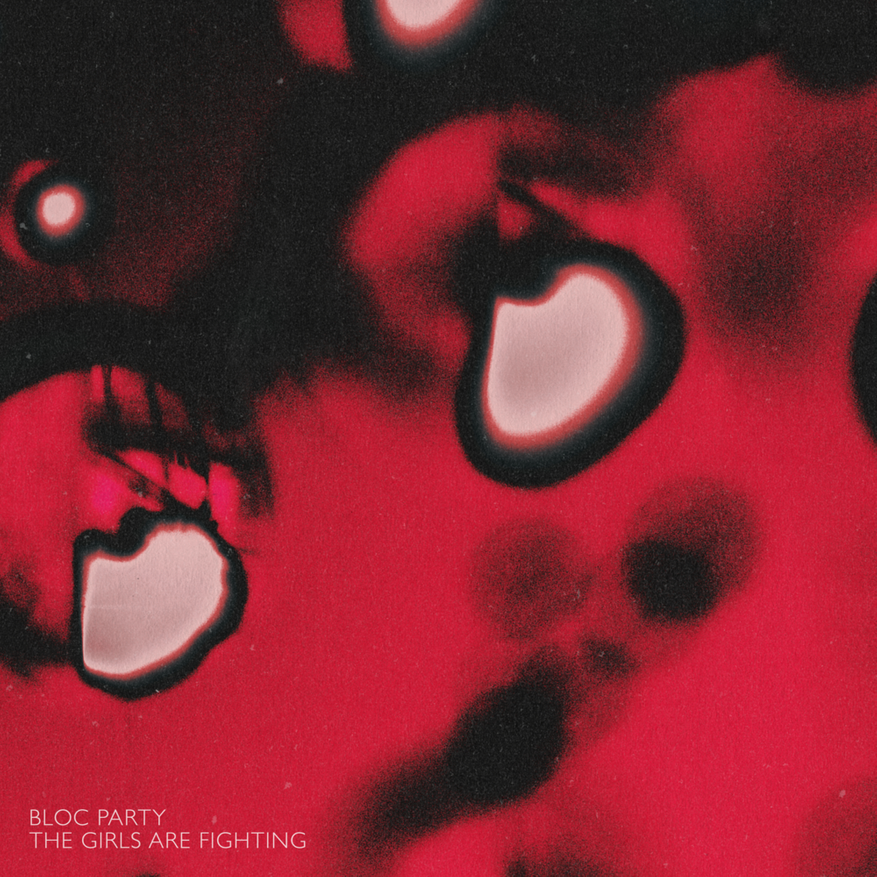 Album cover art for "The Girls Are Fighting" by Bloc Party