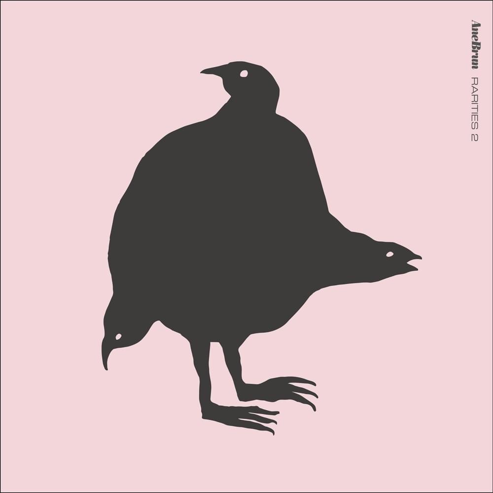 Album cover art for "Northern Sky" by Ane Brun
