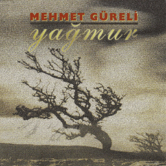 I Don’t Wanna Be Your Lover by Mehmet Güreli