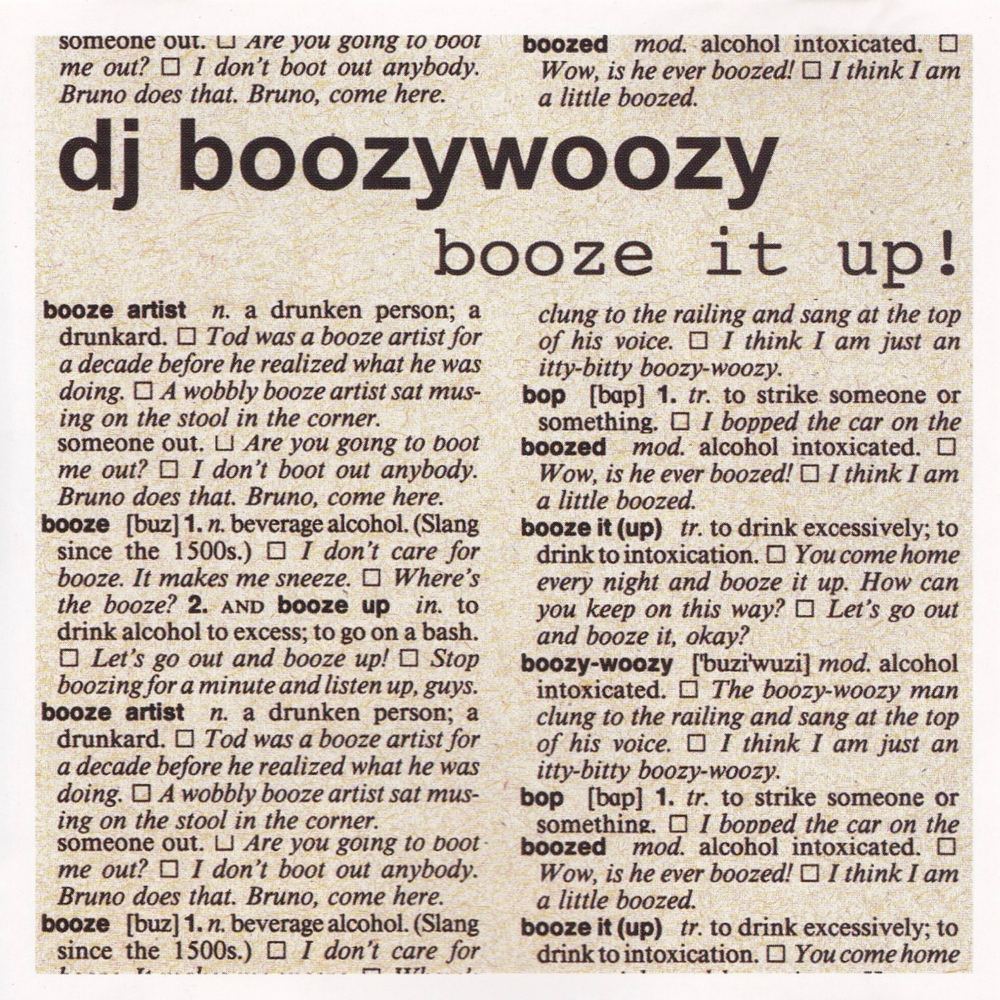 Party Affair (Live at 538 Queensday 2002) by DJ BoozyWoozy