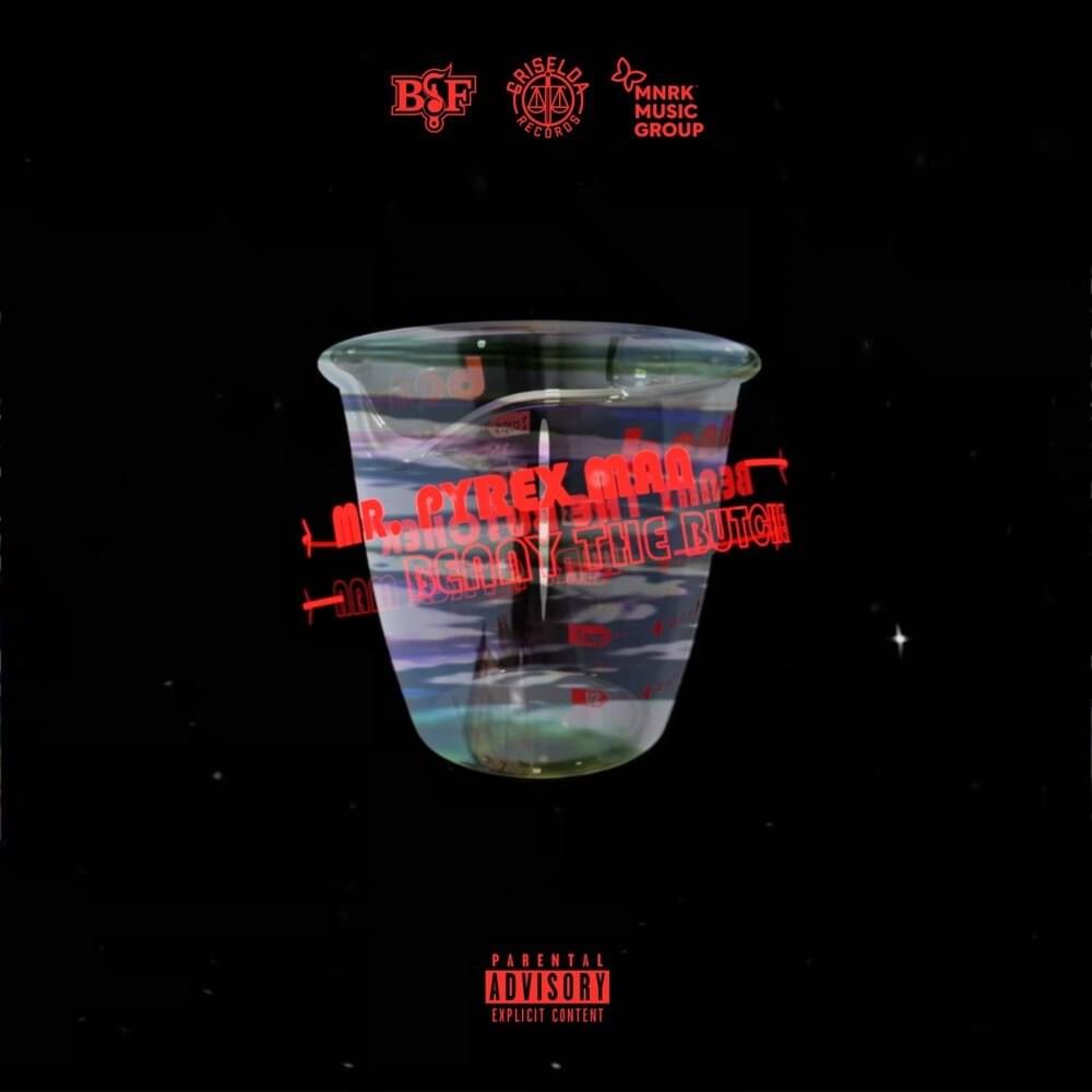 Album cover art for "Mr. Pyrex Man" by Black Soprano Family