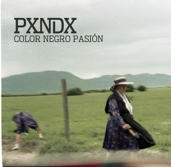 Album cover art for "Color Negro Pasión" by PXNDX