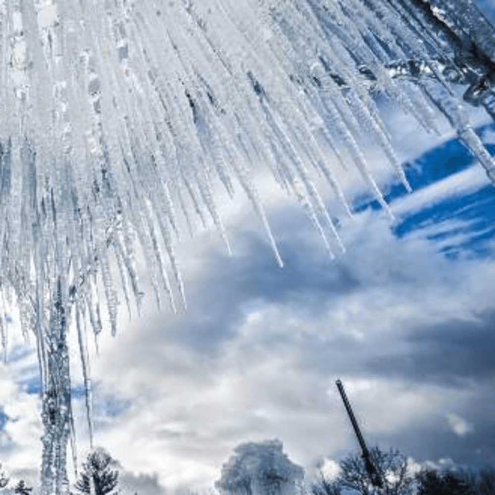 Album cover art for "​iced out" by Lilac