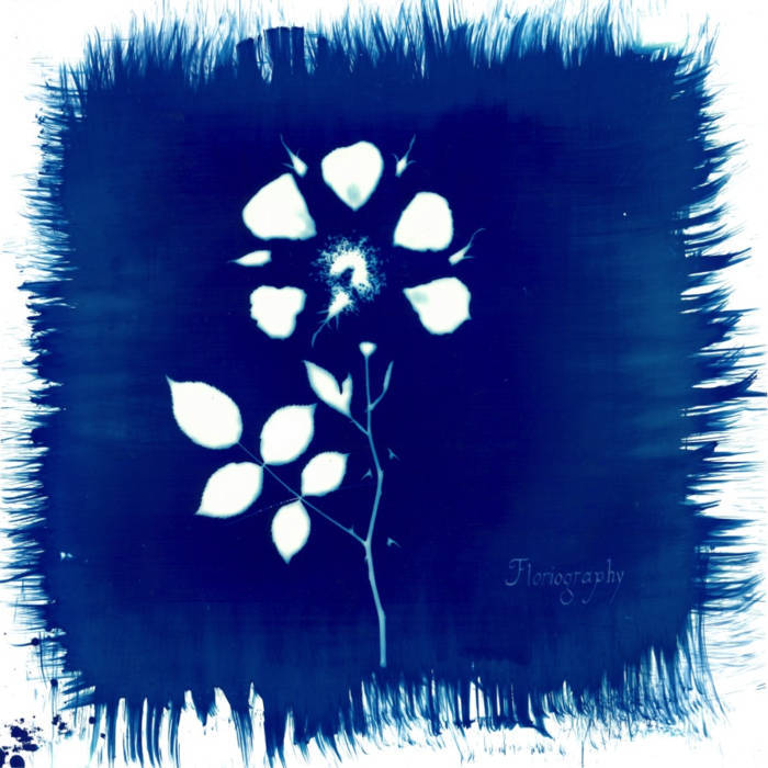 Album cover art for "Palm Tree" by Yautja