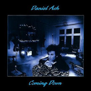 Cover image for Coming Down