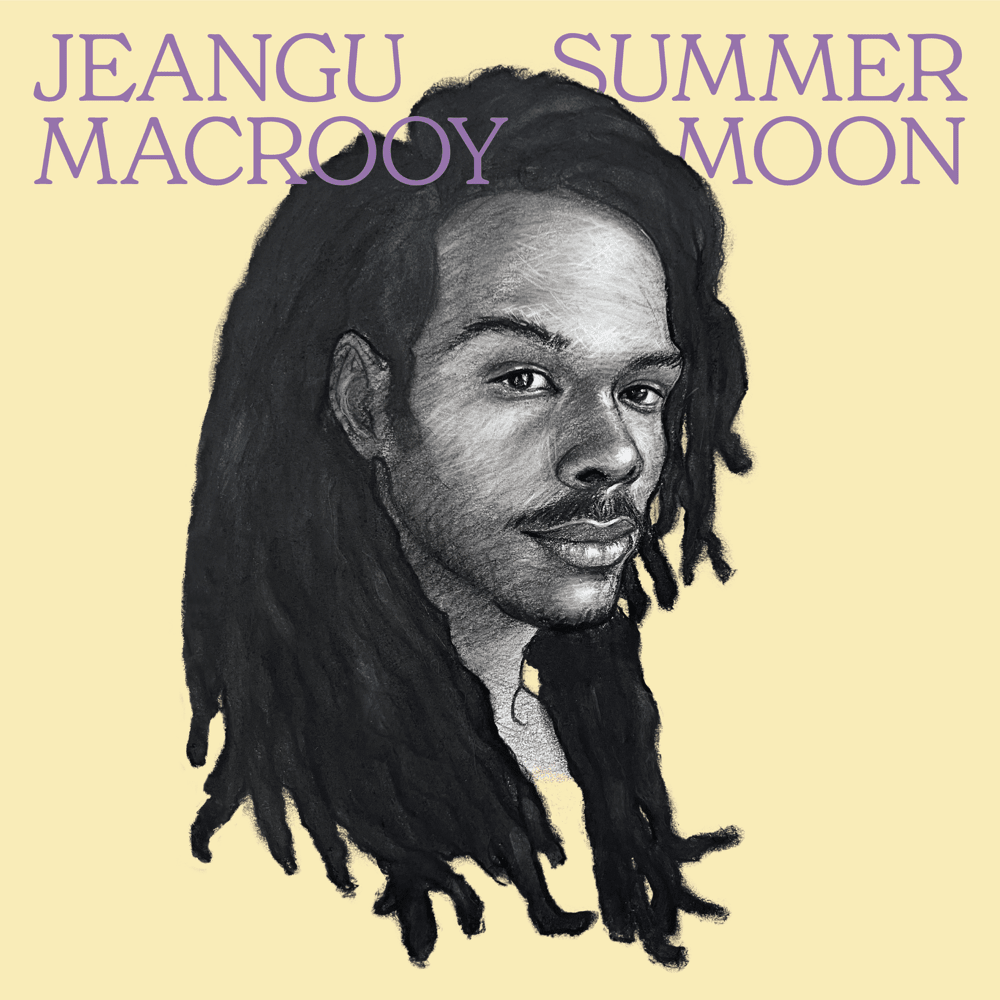 Cover image for Summer Moon