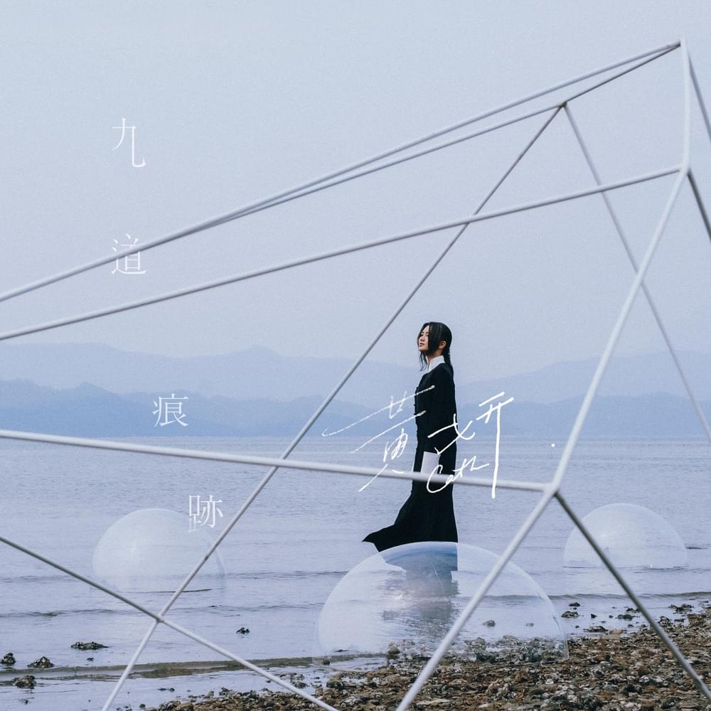 Cover image for 九道痕跡 (Nine Traces Of Life)