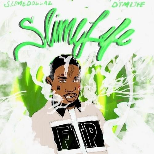Cover image for Slime Life