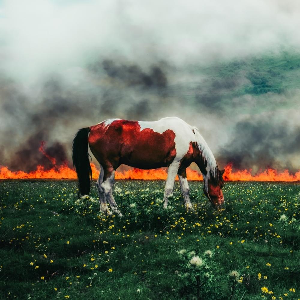 HOLY SMOKE! by indie tribe