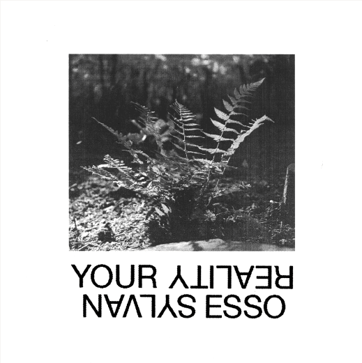Album cover art for "Your Reality" by Sylvan Esso