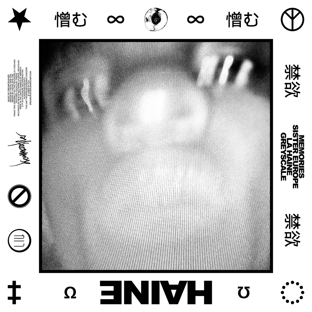 Cover image for HAINE