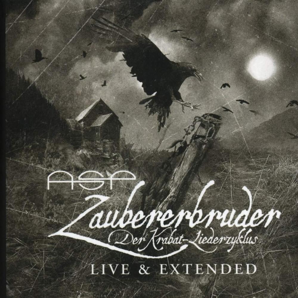 Cover image for Zaubererbruder Live & Extended
