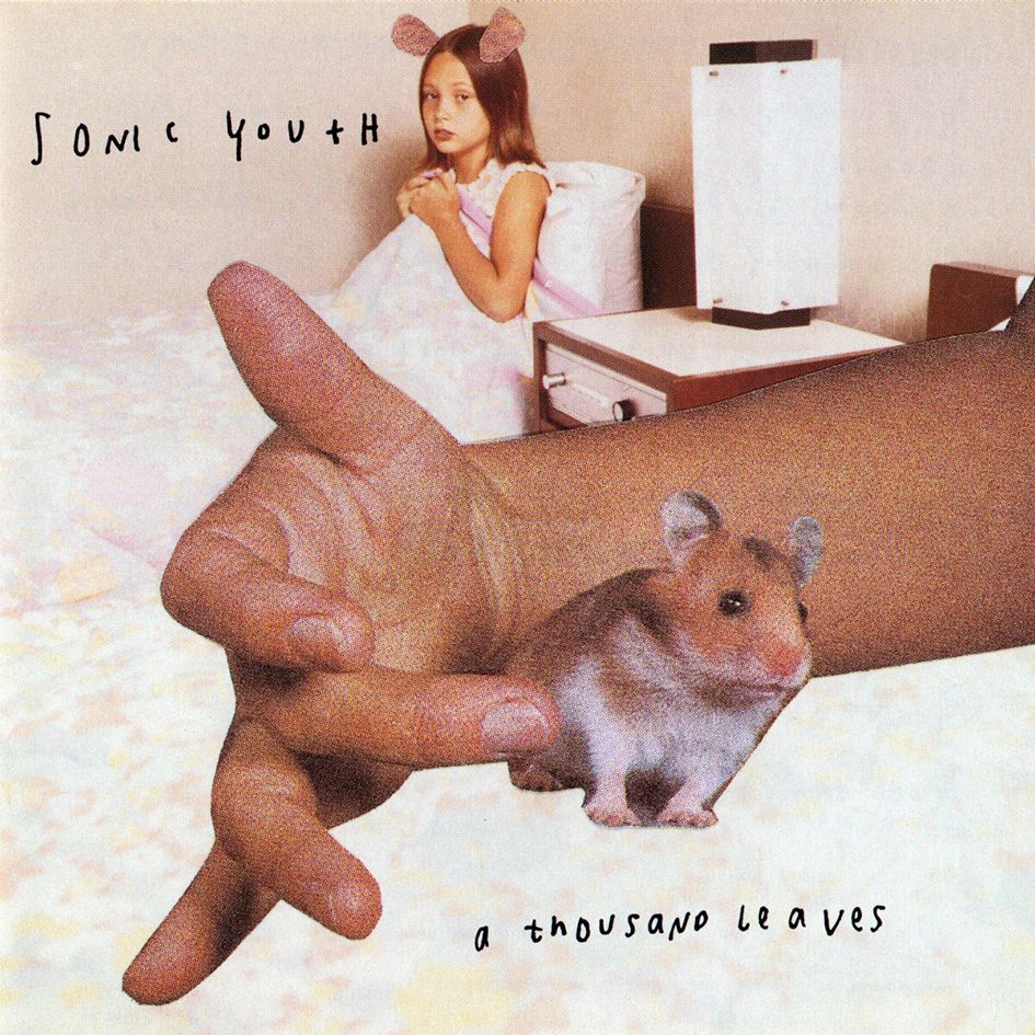 Cover image for A Thousand Leaves