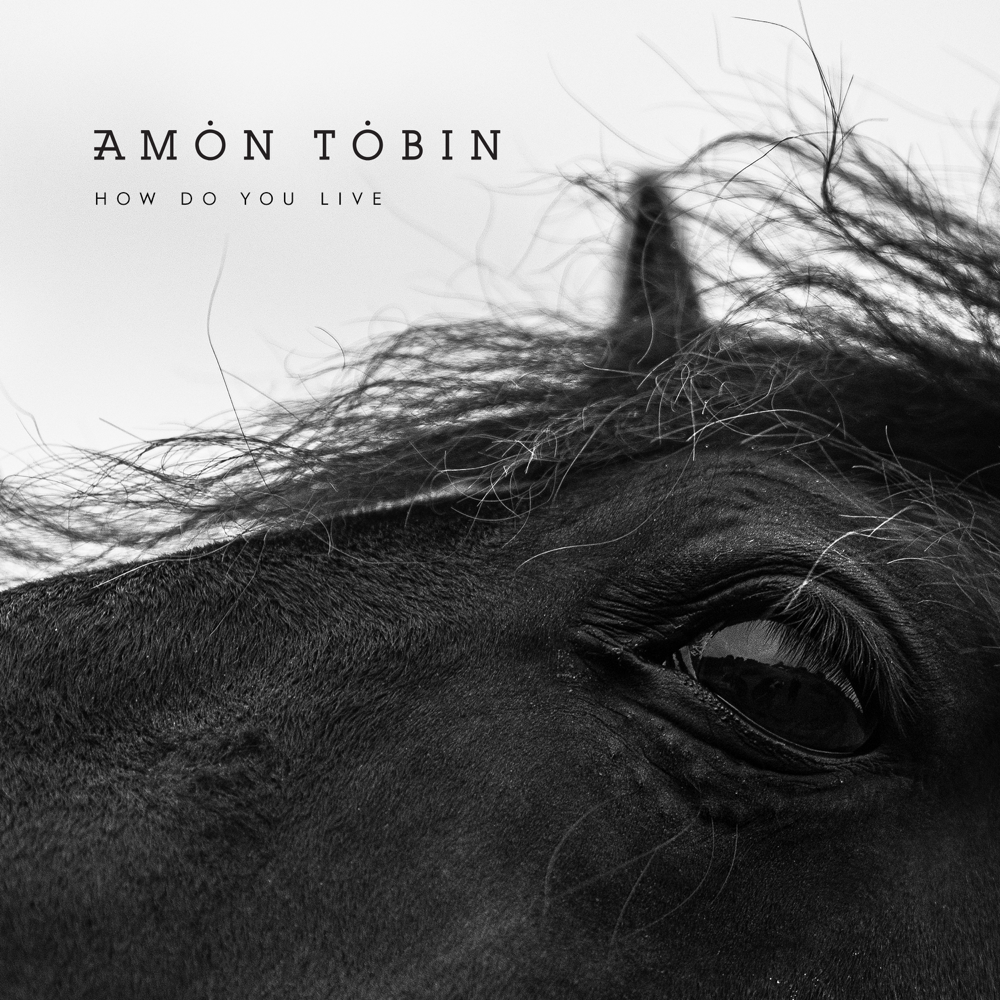 All Things Burn by Amon Tobin