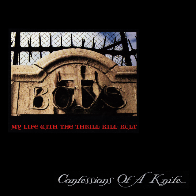 The Days of Swine and Roses by My Life with the Thrill Kill Kult