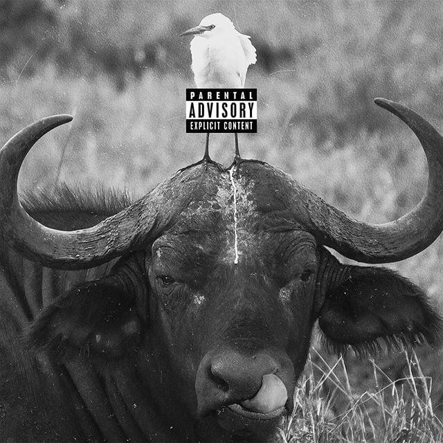 Album cover art for "Buffalo" by Nessyou