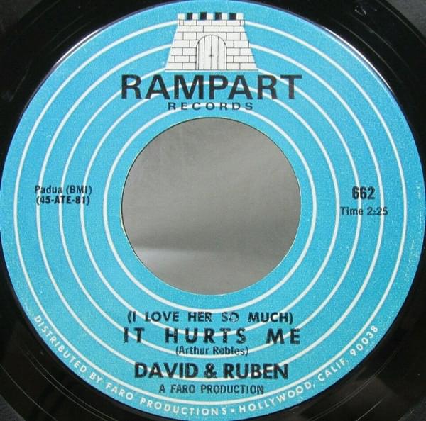 Album cover art for "I Love Her So Much It Hurts Me" by David & Ruben