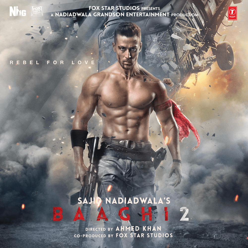 Cover image for Baaghi 2