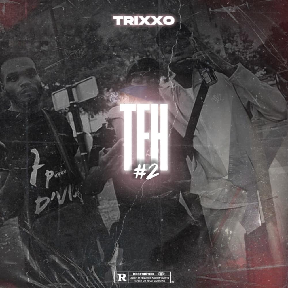 Album cover art for "Teh #2" by Trixxo