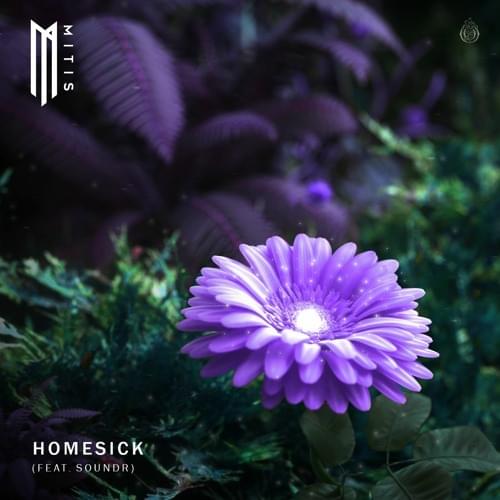 Homesick by MitiS