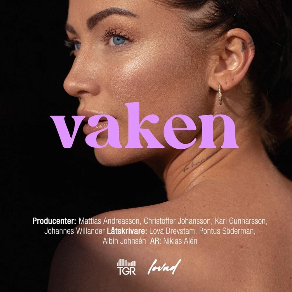 Album cover art for "Vaken" by lovad