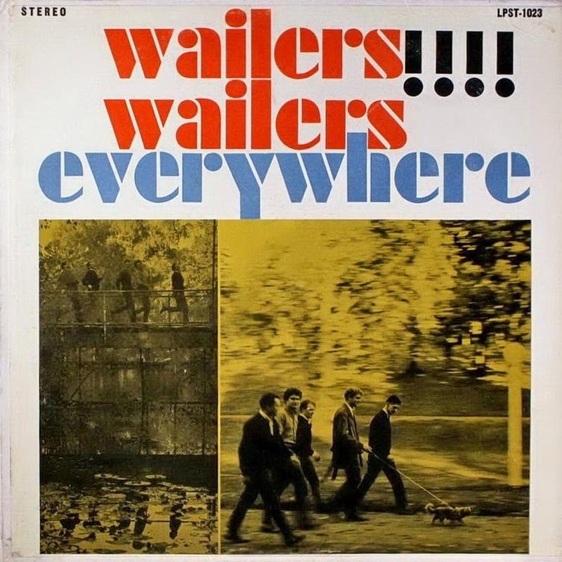 Do You Want To Dance by The Fabulous Wailers