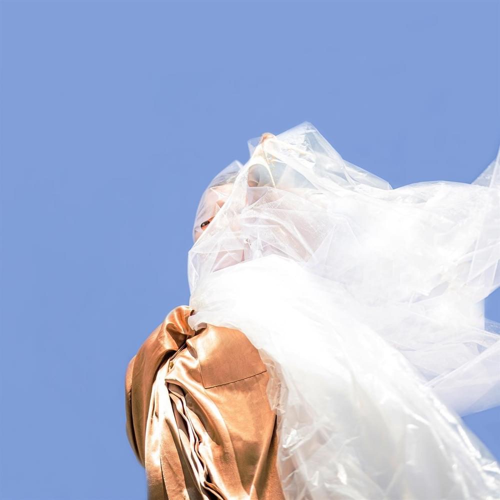 Cover image for FOLD