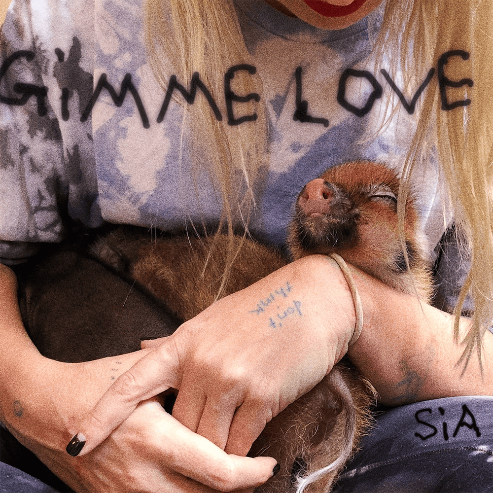 Album cover art for "Gimme Love (Reasonable Woman Version)" by Sia