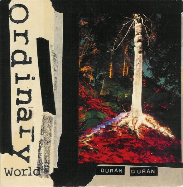Album cover art for "Ordinary World [Single Version]" by Duran Duran