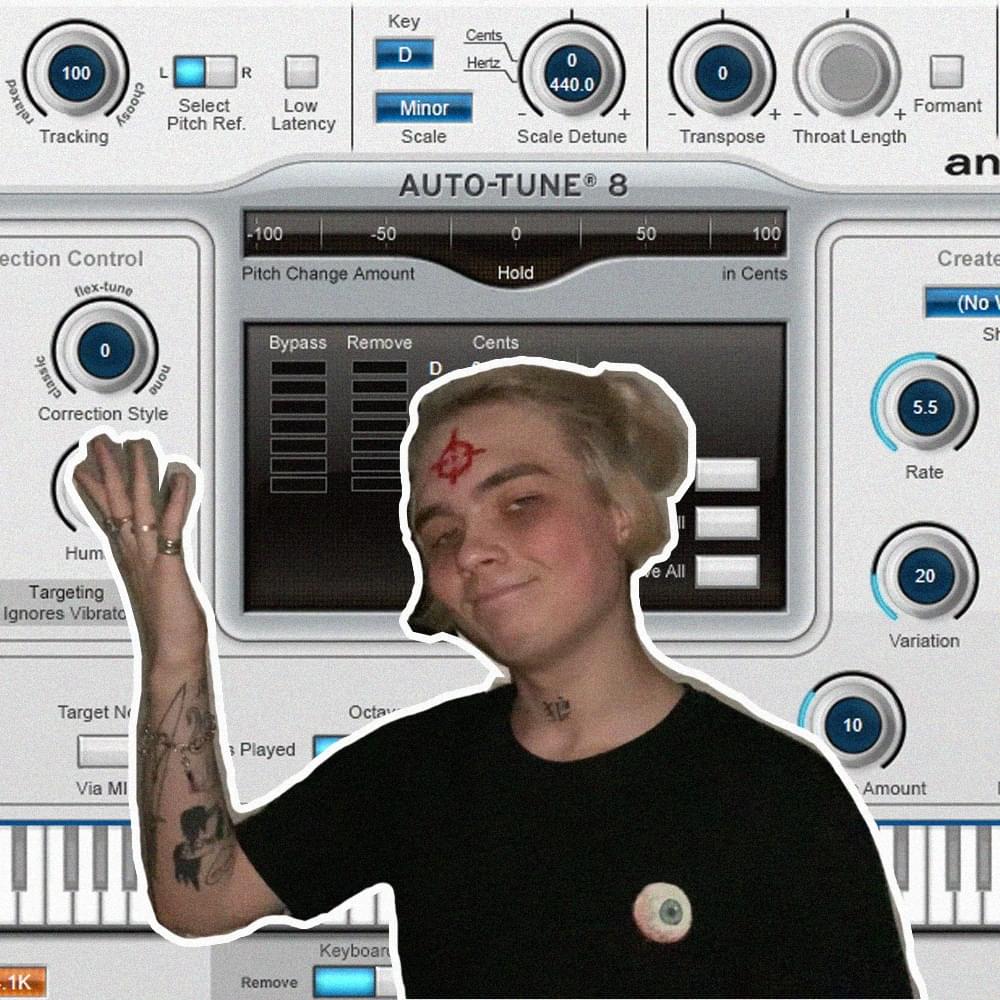 Album cover art for "d minor autotune check" by dekma