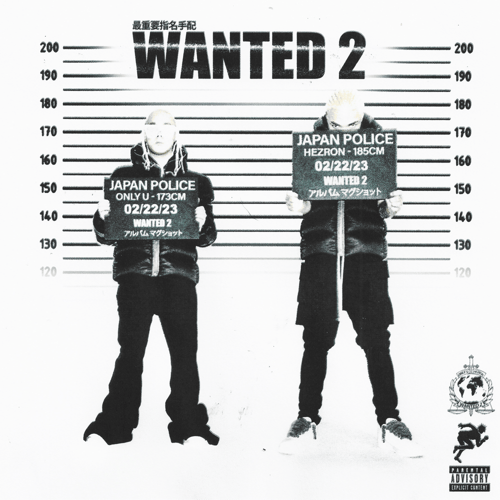 Cover image for WANTED 2