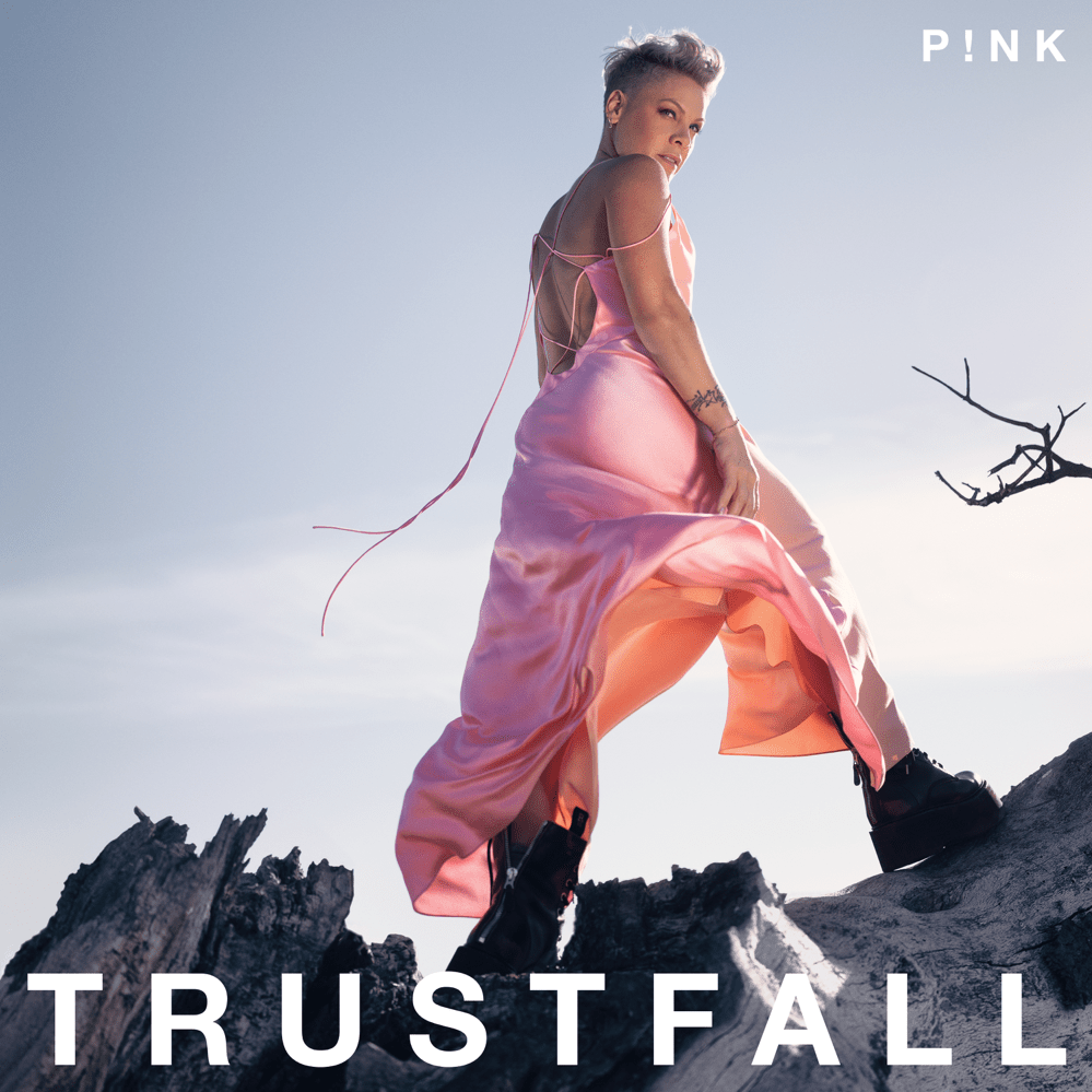 Album cover art for "Runaway" by P!nk