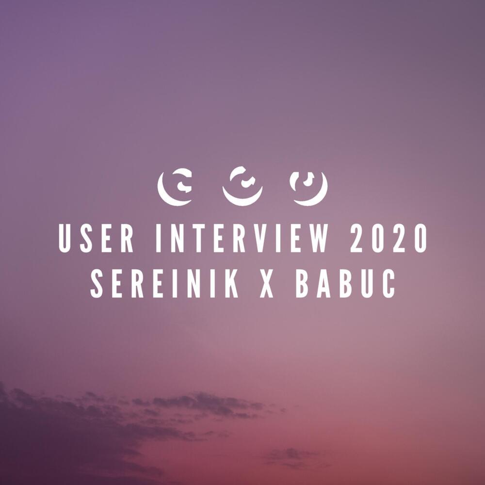Album cover art for "User Interview: babuc & sereinik" by Null 3005 & Babu Chatterjee & sereinik