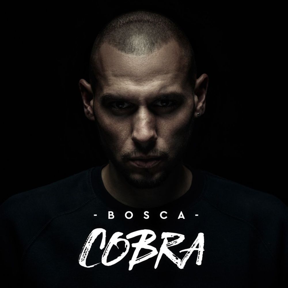 Album cover art for "Cobra" by Bosca