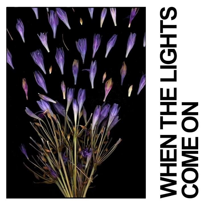 Album cover art for "When the Lights Come On" by IDLES