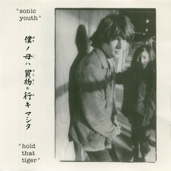 Cover image for Hold That Tiger