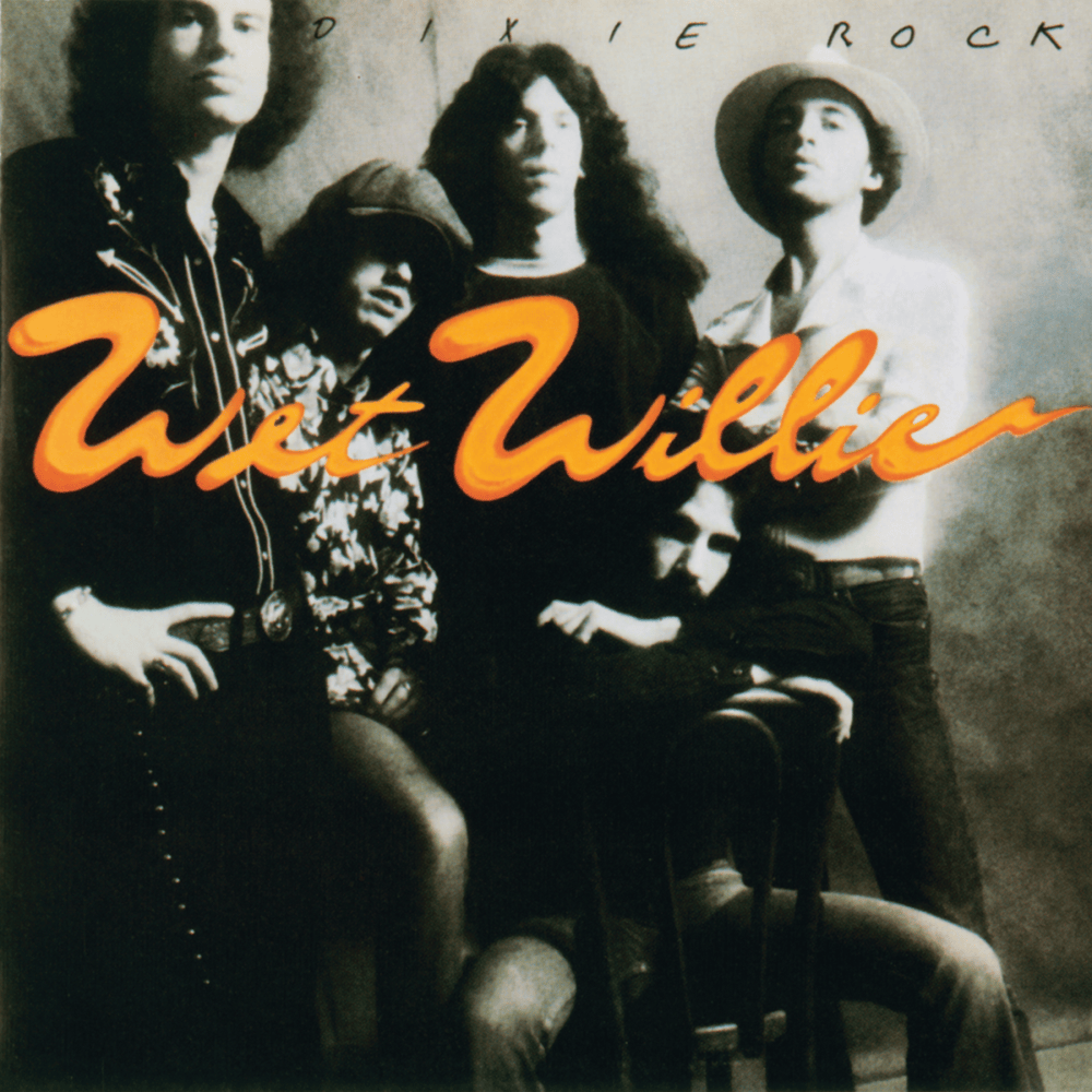 Cover image for Dixie Rock