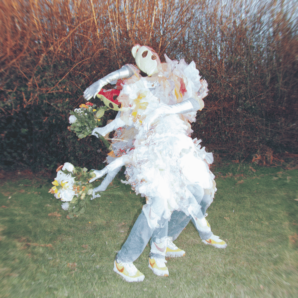 Cover image for Free World