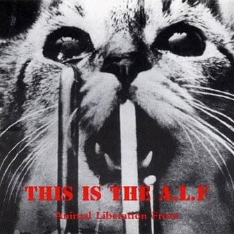 Album cover art for "The Voiceless now have a Voice" by Existance