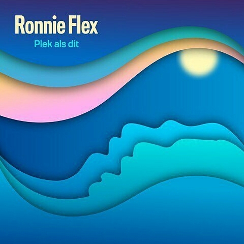 Plek Als Dit by Ronnie Flex
