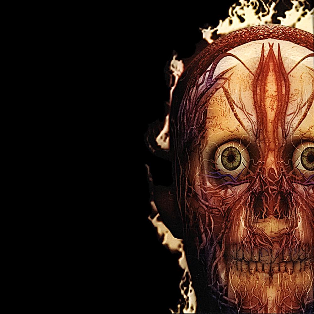 Album cover art for "Parabola" by Tool