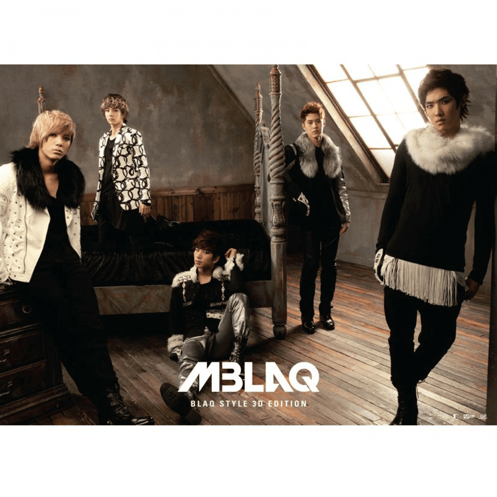 Cover image for BLAQ Style 3D Edition