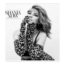 Album cover art for "We Got Something They Don’t" by Shania Twain